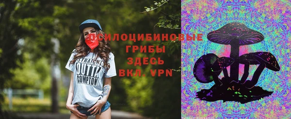 соль ск Бронницы