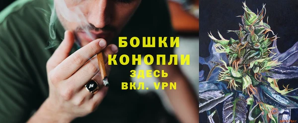 соль ск Бронницы