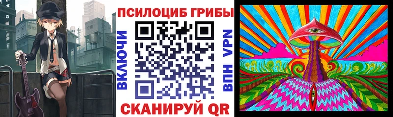 Псилоцибиновые грибы мицелий  где купить наркотик  Дальнегорск 